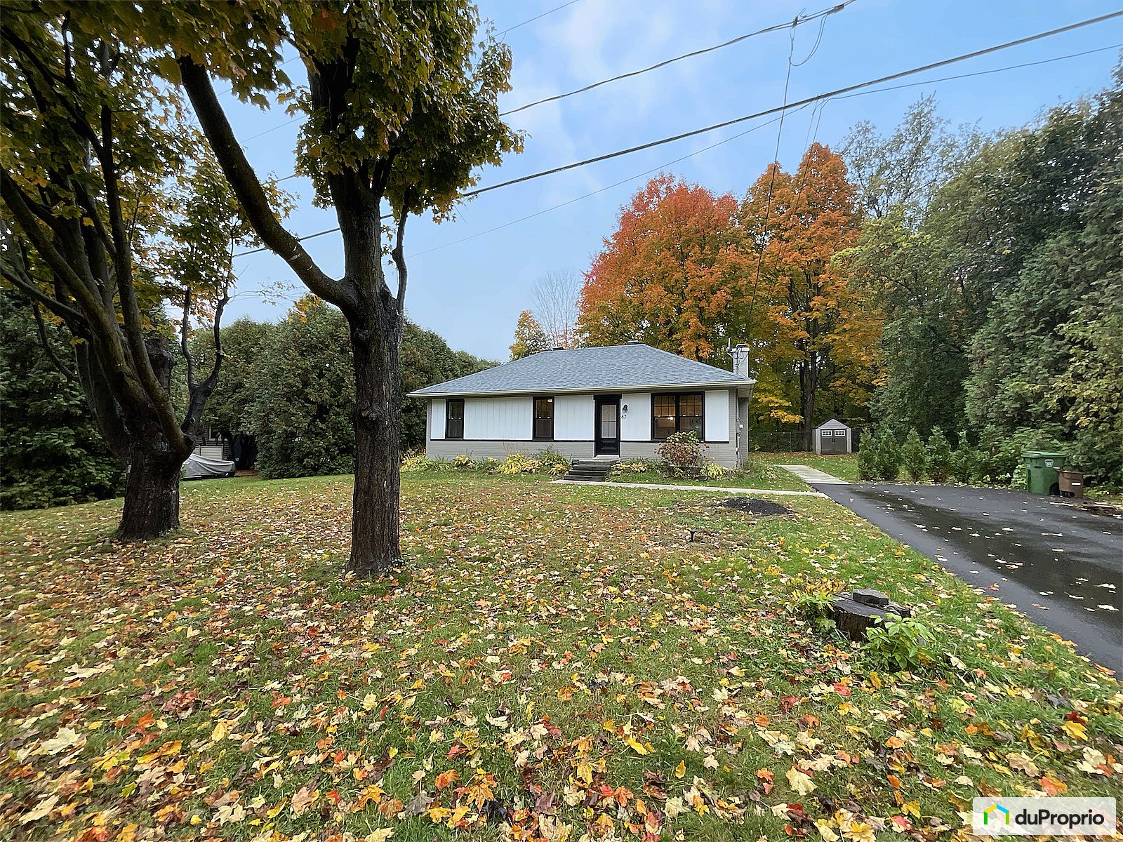 67 Rue Mount Pleasant — photo 3