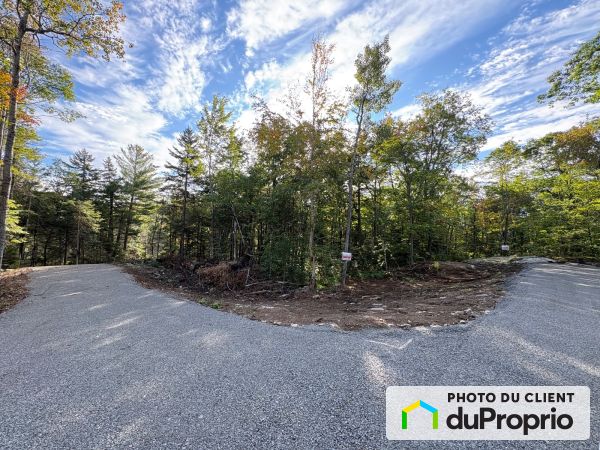 203, rue de la Source, Brownsburg-Chatham à vendre