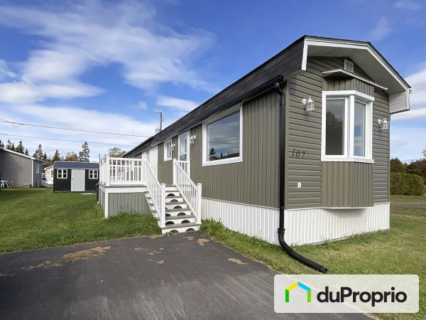 107, rue du Parc-de-l'Amitié, ND-Du-Portage à vendre