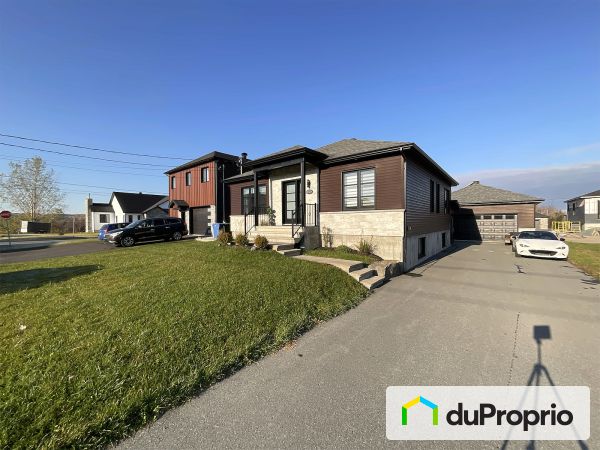 105, rue Mastine, Windsor à vendre