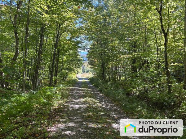 4491, chemin de la Montagne, Val-Racine à vendre