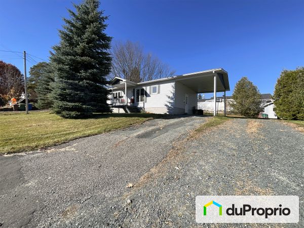 115, rue Bibeau, St-François-Xavier-De-Brompton à vendre