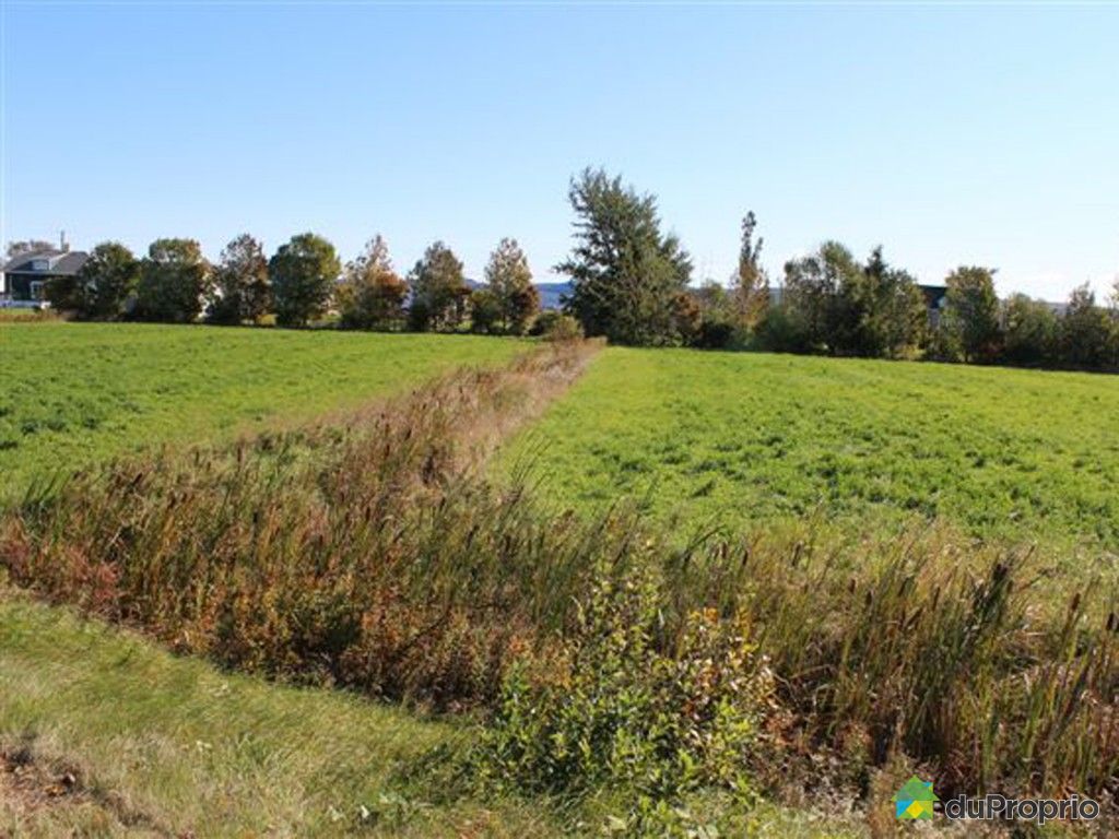 terrain a vendre riviere ouelle