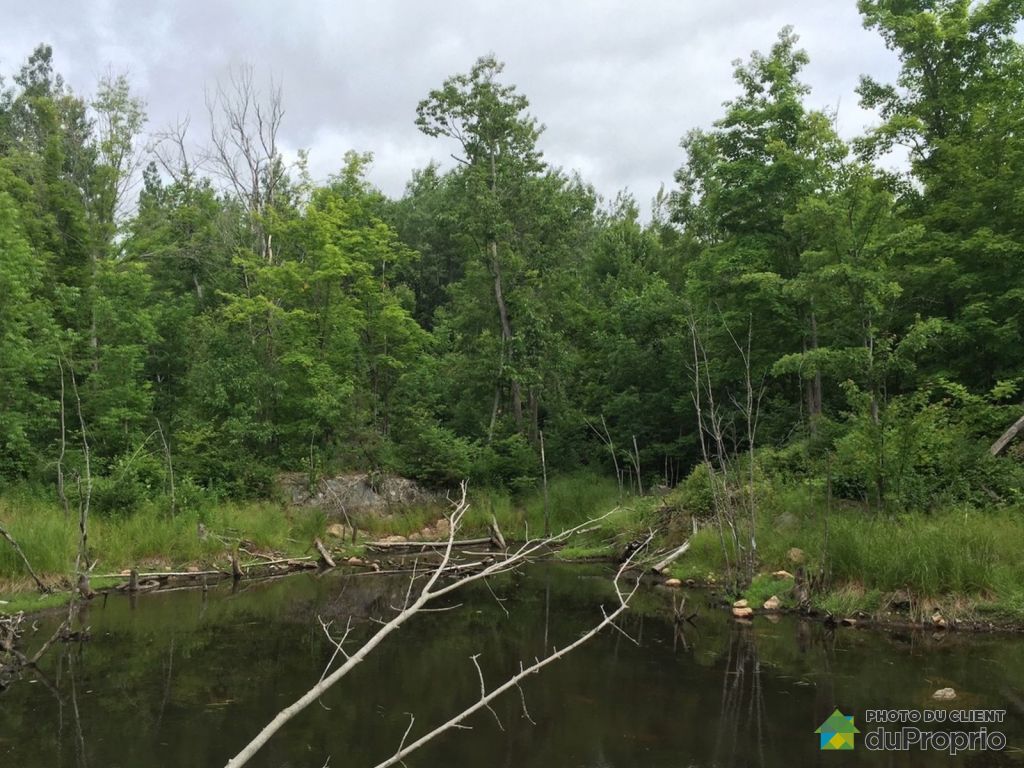 Vendre terre outaouais a terre agricole