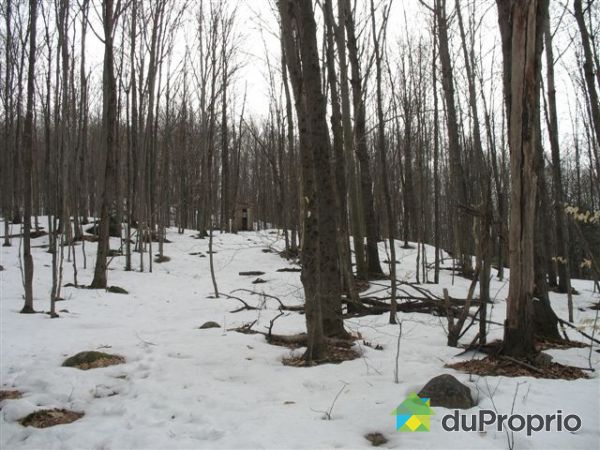 terrain boise a vendre dans lanaudiere