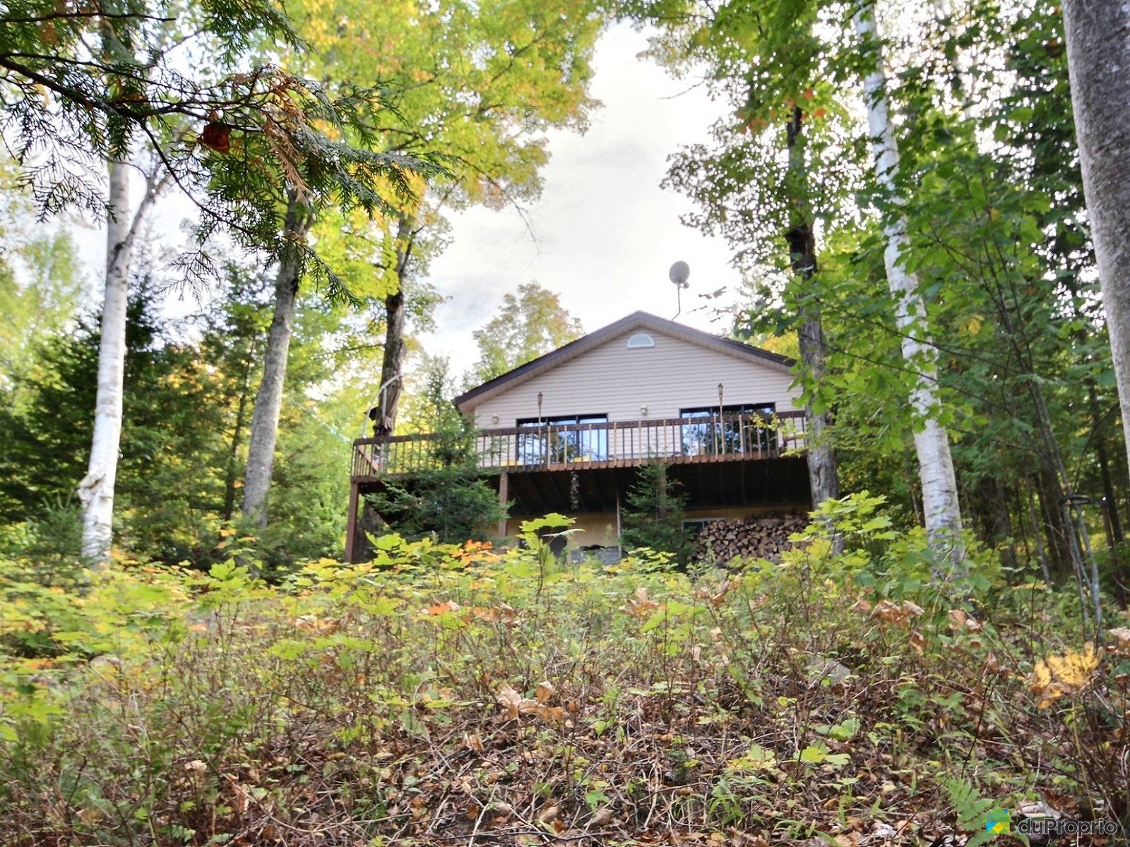 1243, chemin du LacCameron, Amherst à vendre DuProprio