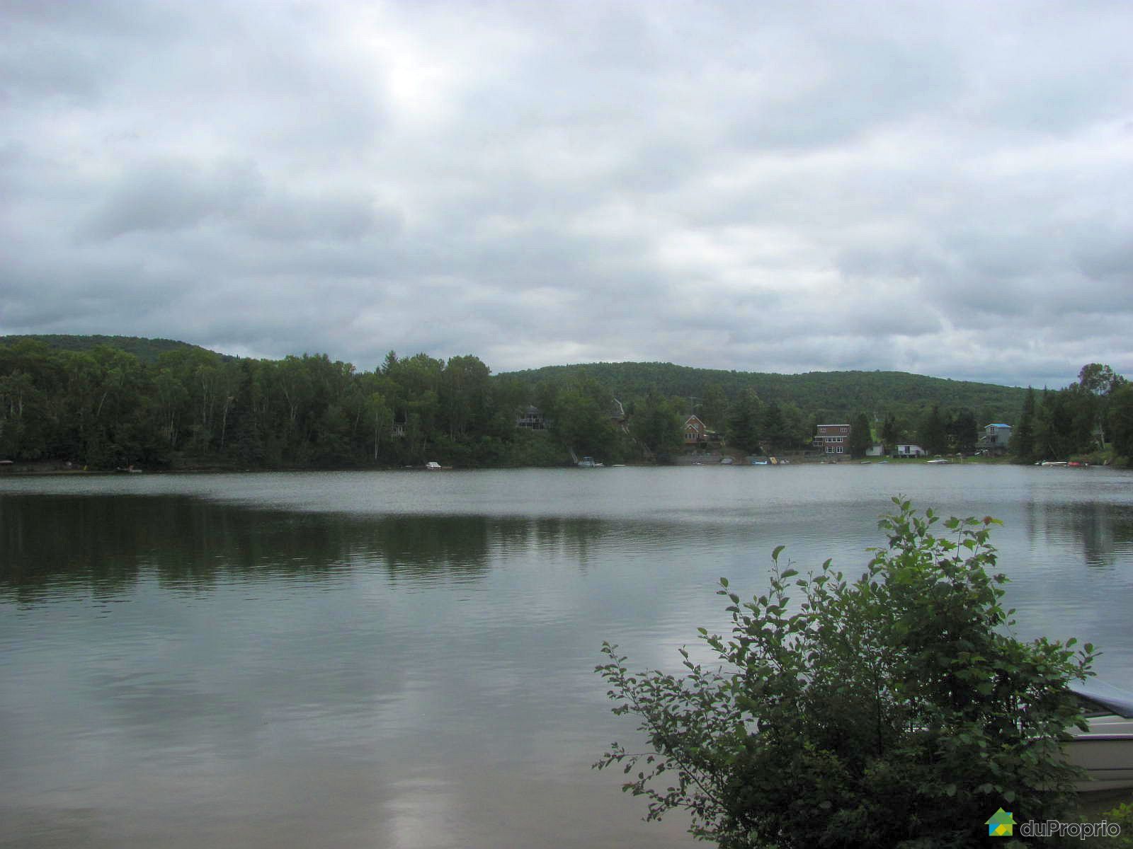 5, avenue Delisle, RivièreàPierre à vendre DuProprio